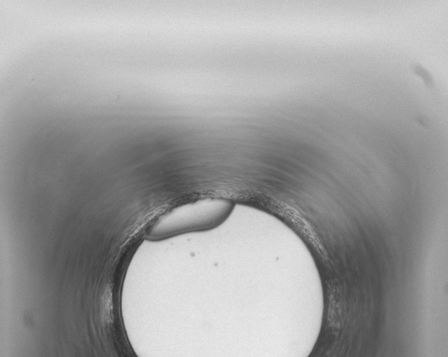 X0000115420251200912011252