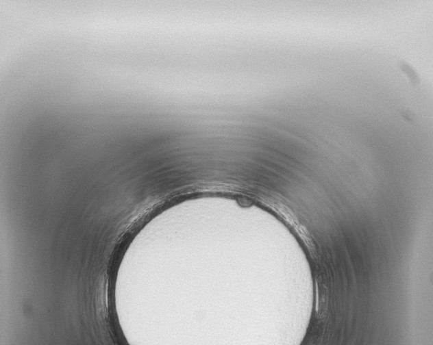 X0000115420253200912011252