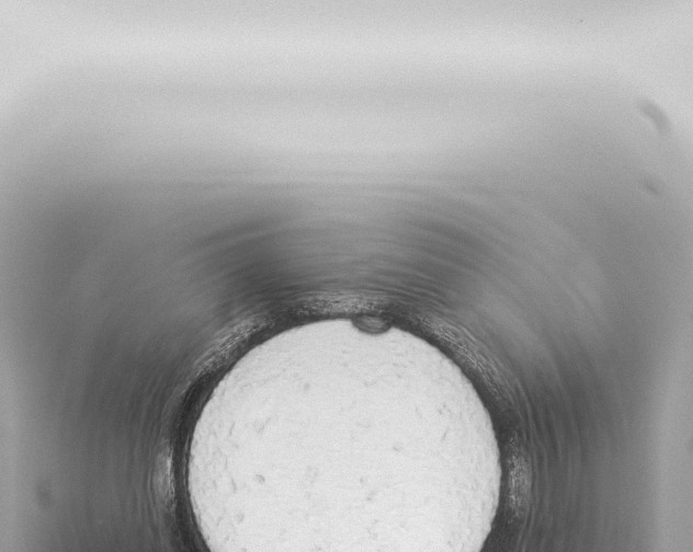 X0000115420254200912011252