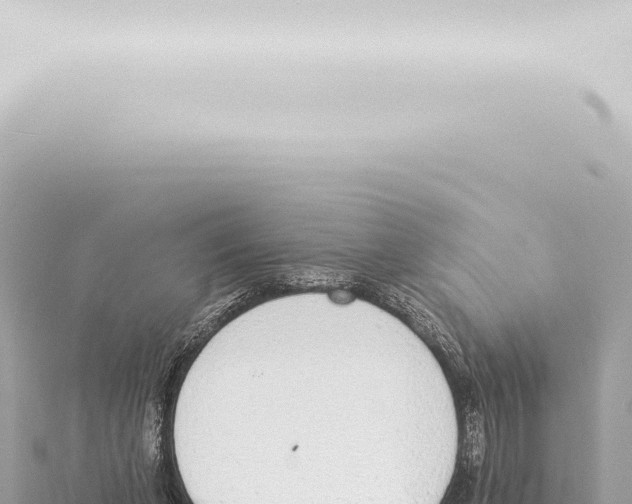 X0000115420255200912011252