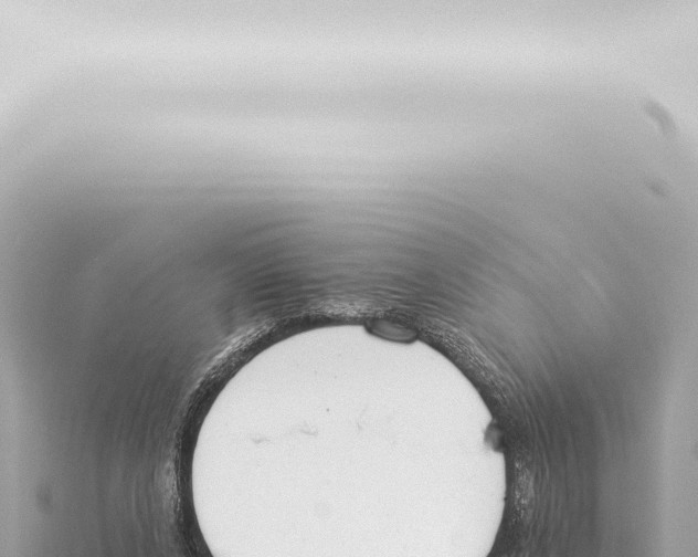 X0000115420256200912011252