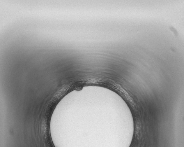 X0000115420257200912011252