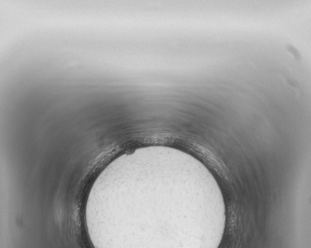 X0000115420258200912011252