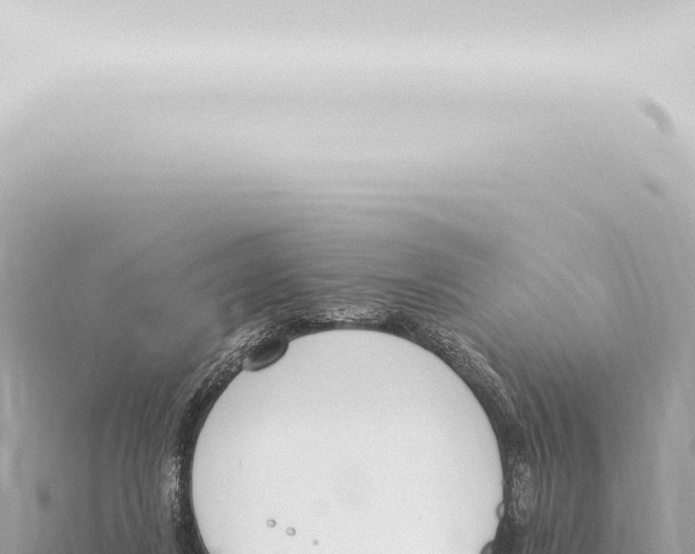 X0000115420260200912011252