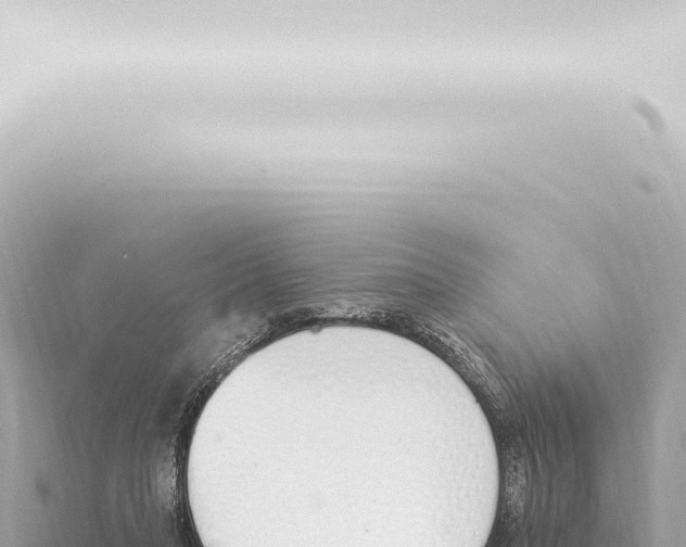 X0000115420261200912011252