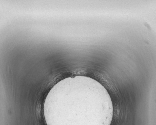 X0000115420263200912011252