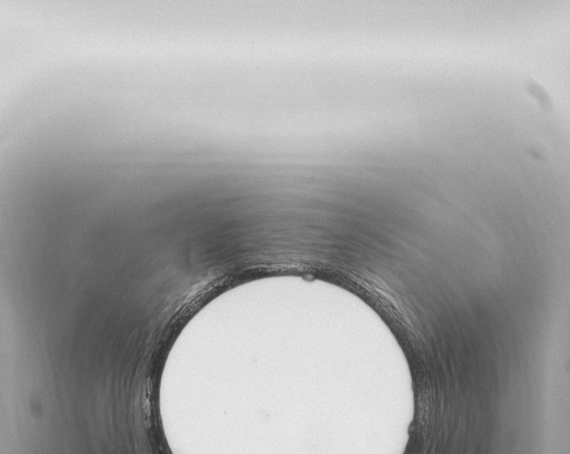 X0000115420264200912011252