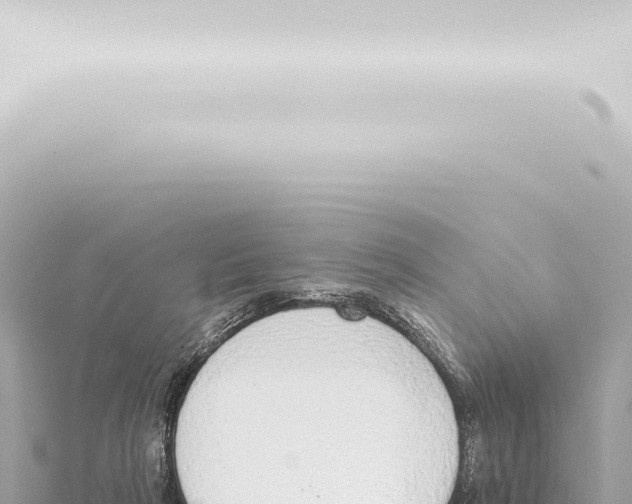 X0000115420265200912011252