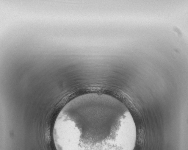 X0000115420267200912011252