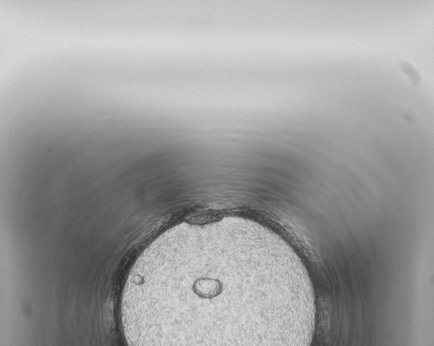 X0000115420269200912011252