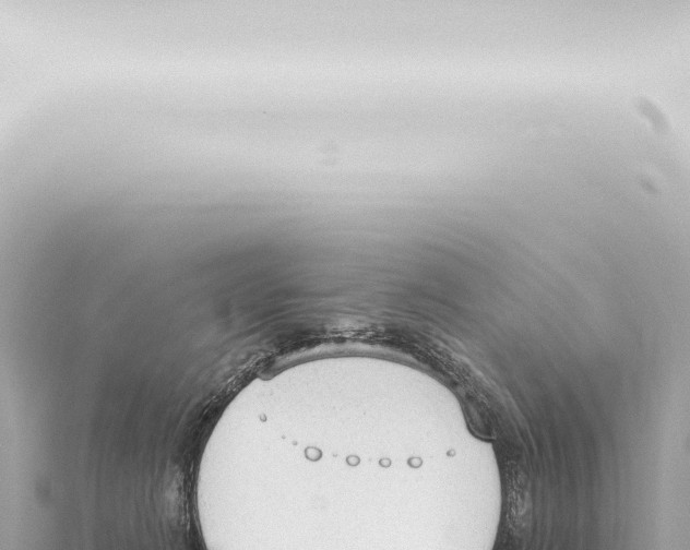 X0000115420270200912011252