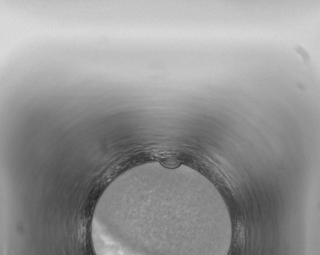 X0000115420271200912011252