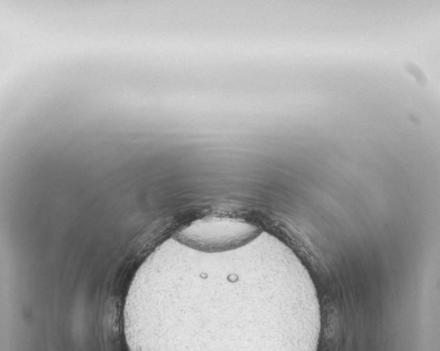 X0000115420273200912011252