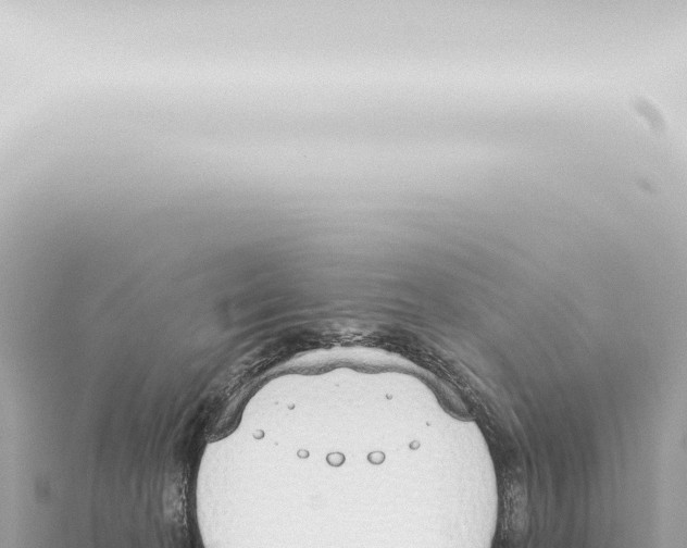 X0000115420274200912011252