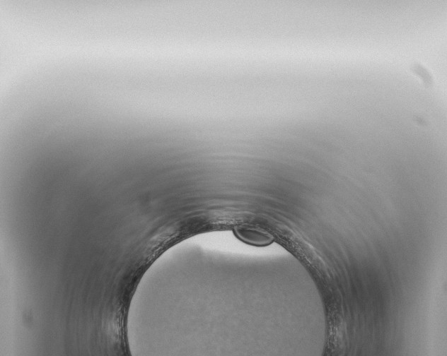 X0000115420277200912011252