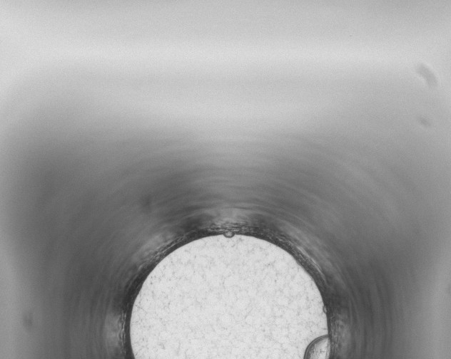 X0000115420278200912011252