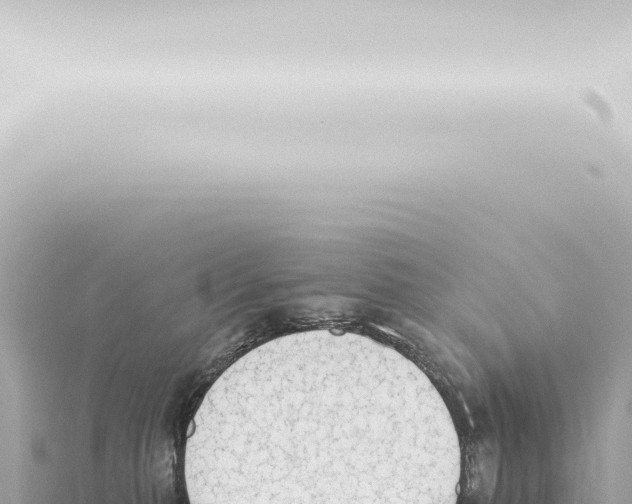 X0000115420279200912011252