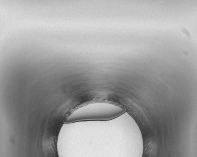 X0000115420280200912011252