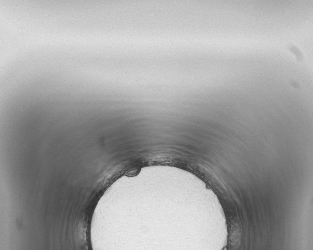 X0000115420282200912011252