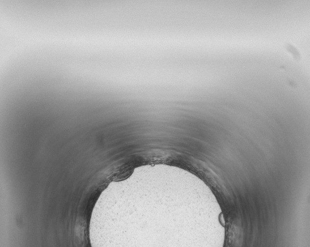 X0000115420283200912011252