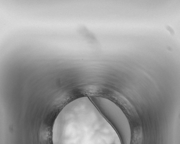 X0000115420284200912011252