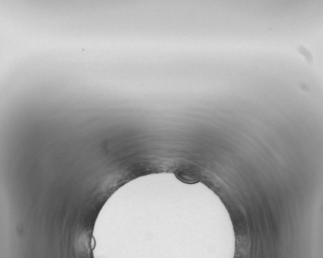 X0000115420286200912011252