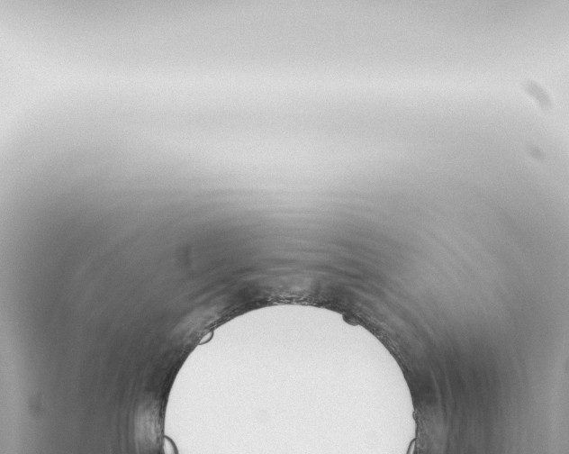 X0000115420287200912011252