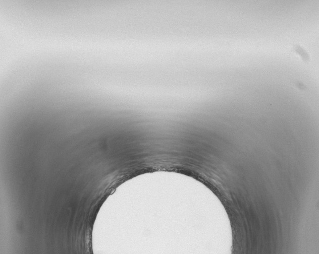 X0000115420288200912011252