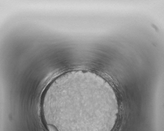 X0000115420290200912011252