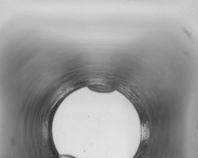 X0000115420291200912011252