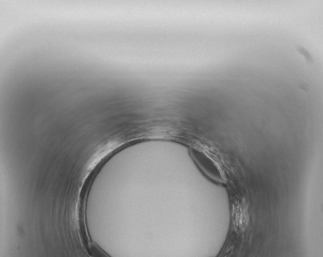 X0000115420292200912011252