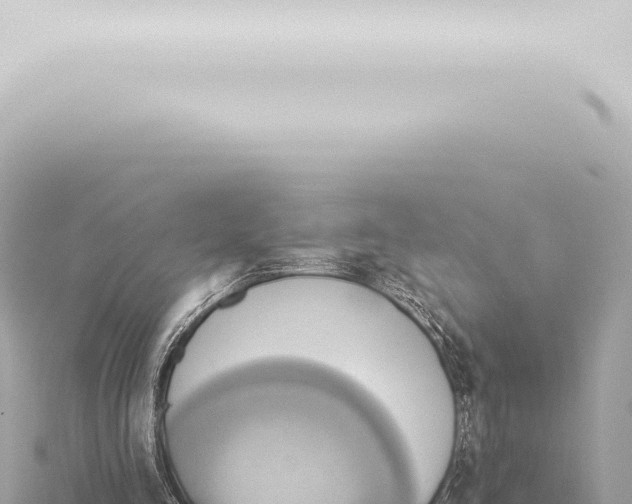 X0000115420293200912011252