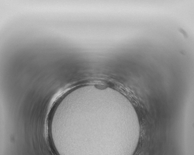 X0000115420294200912011252