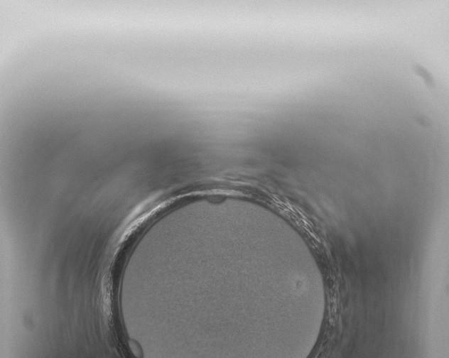 X0000115420295200912011252