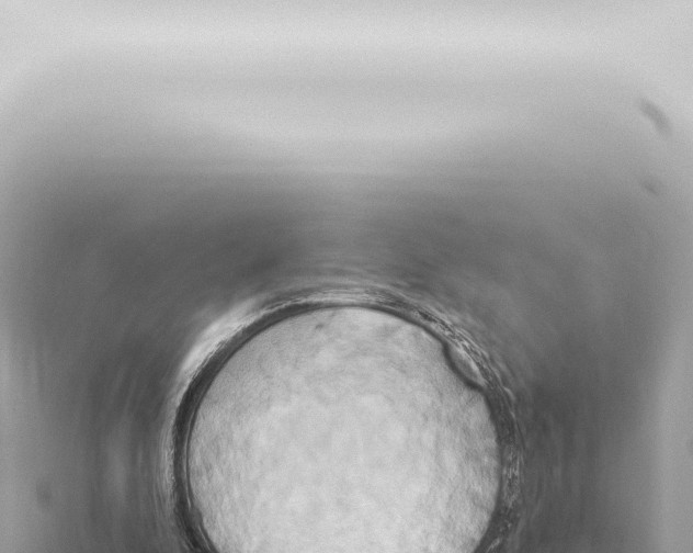 X0000115420296200912011252