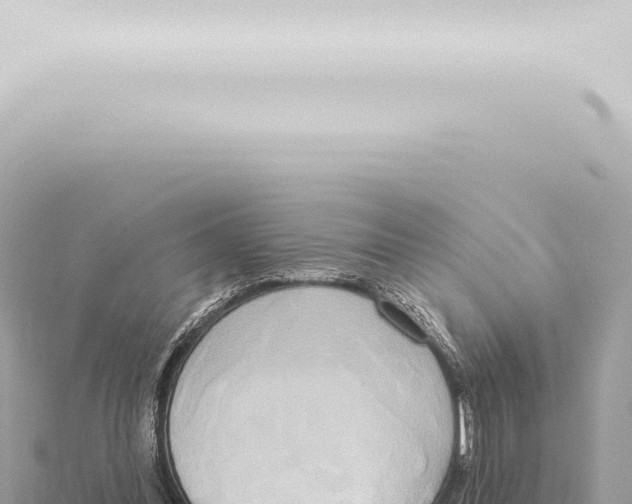 X0000115420300200912011252