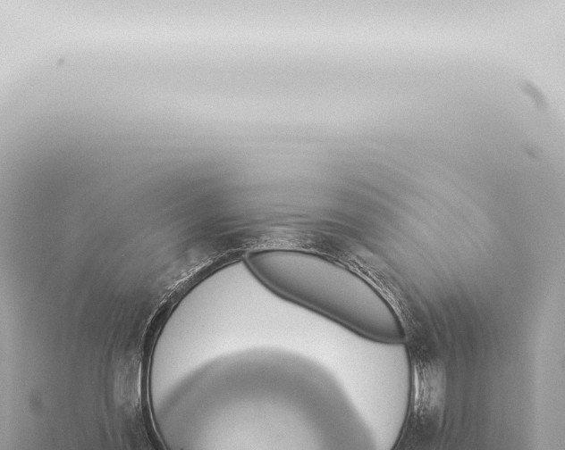 X0000115420301200912011252