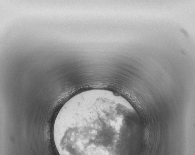 X0000115420303200912011252