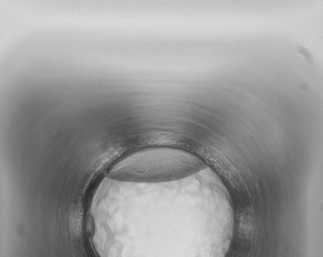 X0000115420304200912011252