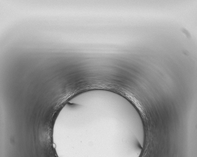 X0000115420305200912011252