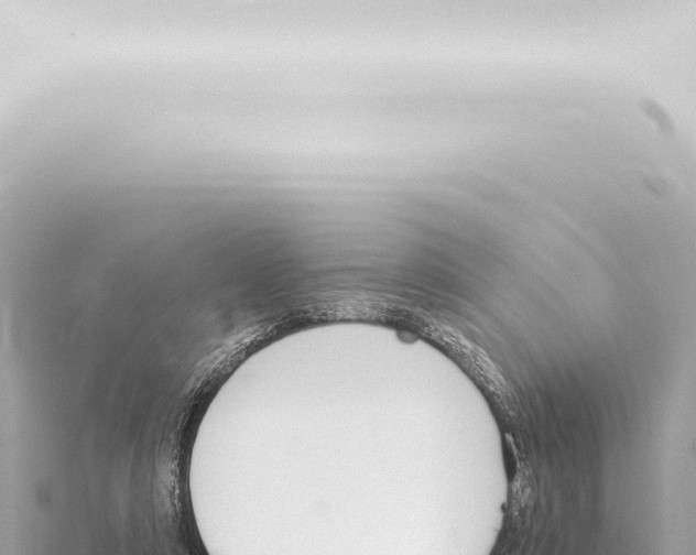 X0000115420306200912011252