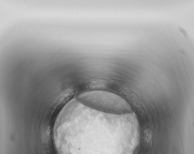 X0000115420308200912011252