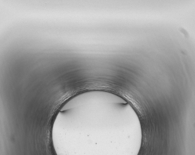 X0000115420309200912011252