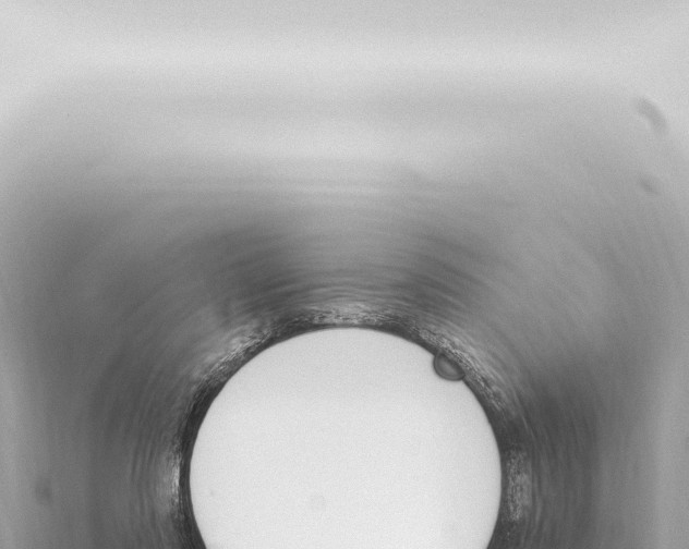 X0000115420310200912011252