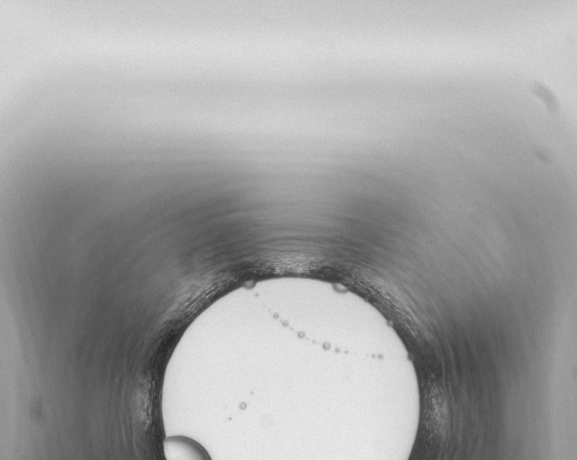 X0000115420311200912011252