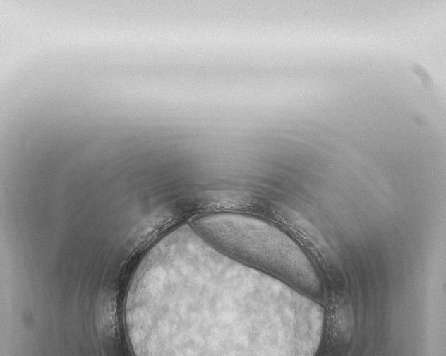 X0000115420312200912011252