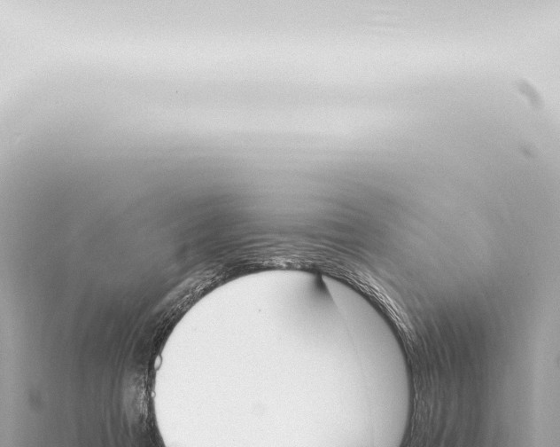 X0000115420313200912011251