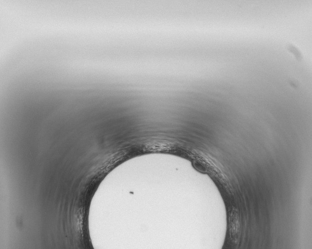 X0000115420315200912011251