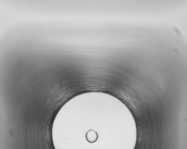 X0000115420317200912011251