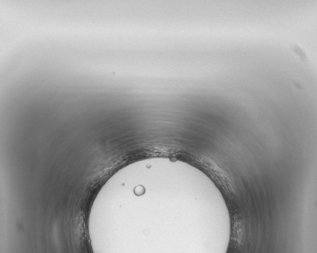 X0000115420318200912011251